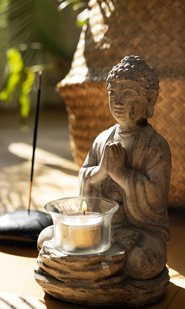 Private Group Wellness Experiences